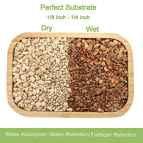 2.5lb Premium Diatomite Rocks Soil Amendments Diatomaceous Earth(DE) Soil Additive for Succulent, Cacti, Indoor & Outdoor Container Plants- Fast Drainage, No Root Rot and Promotes Root Growth - color: Diatomite Rocks Soil, size: 2.5lb