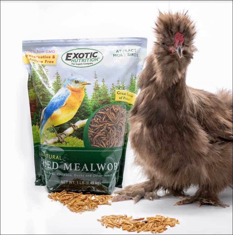 Exotic Nutrition 40 LB Bulk Dried Black Soldier Fly Larvae - High-Calcium Insect Treat - Chickens, Wild Birds, Bluebirds - size: 40 Pound (Pack of 1)