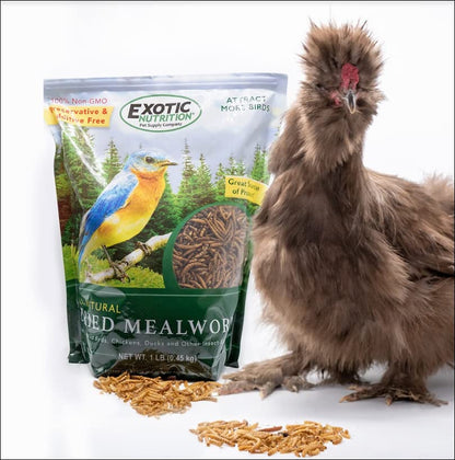 Exotic Nutrition 40 LB Bulk Dried Black Soldier Fly Larvae - High-Calcium Insect Treat - Chickens, Wild Birds, Bluebirds - size: 40 Pound (Pack of 1)