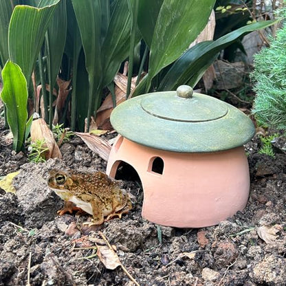 Frog and Toad House 8 x 6Inch Toad House for Outside Garden Reptile Cave Red Pottery Ceramics Small Reptile Cave Hide Reptile Hides and Caves Snake Toad Frog Turtle House Green with Lid