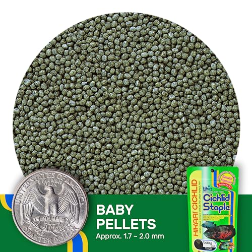 Hikari Cichlid Staple Floating Baby Pellets for Pets, 2-Ounce - color: Black, size: 2.01 Ounce (Pack of 1)