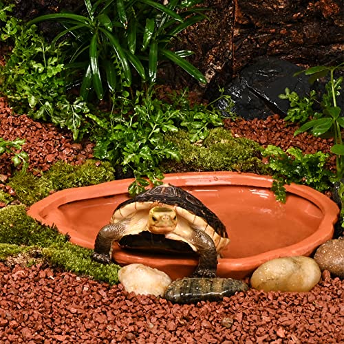 Extra Large Reptile Bathing Pool Tortoise Bathing Pool Reptile Feeding Dish Water Bath Bowl Aquarium Ornament for Gecko, Snake, Turtle, Bearded Dragon, Lizard Bath (Red Pottery) - color: Red Pottery