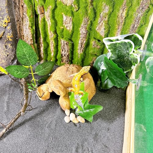 BNOSDM Fake Terrarium Plants for Reptiles, 3-5in, Green, 5PCS | Fake Terrarium Plant with Suction Cup, Jumping Spider Habitat Enclosure Bearded Dragon,Snake, Lizard Accessories - color: Green