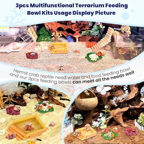 5 Pack Hermit Crab Water Pool Hermit Crab Food Bowl Dish Reptile Terrarium Water Bowls Reptile Starter Kits Accessories for Hermit Crab Leopard Gecko Frog Spider Lizard Turtle Bearded Dragon etc