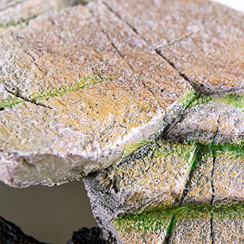 PENN-PLAX Reptology Shale Scape Step Ledge & Cave Hideout – Basking Area - Decorative Resin for Aquariums & Terrariums – Great for Reptiles, Amphibians, and Fish – Medium - size: Medium