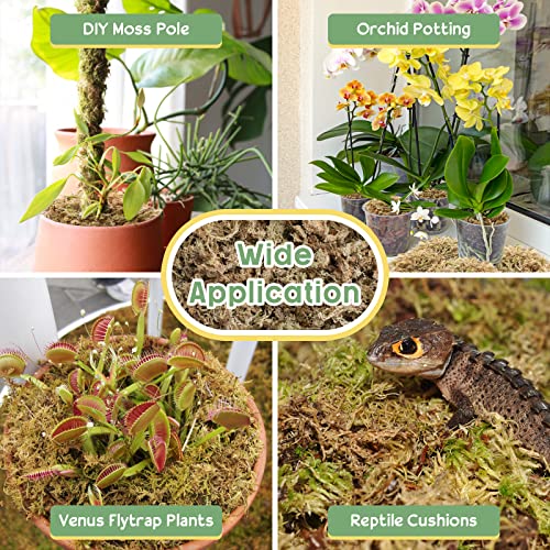 4.4LB Sphagnum Moss for Plants- 80QT Natural Long Fibers Orchid Moss | Moisture Retention & Drainage Balance, Plant Moss for Orchids, Succulents, Carnivorous, Ferns, Reptile Bedding & Terrariums - size: 80 QT(4.4 lb)