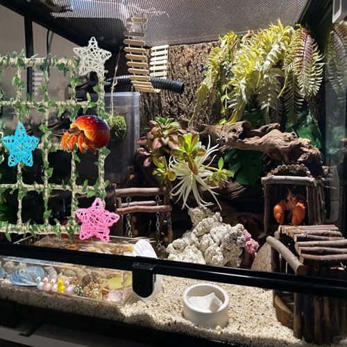 Hermit Crab Climbing Toys Set，Hermit Crab Habitat Tank Accessories,Also for Small Lizard Chameleon Leopard Gecko Reptile