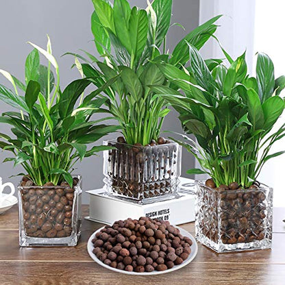 2LBS Leca Expanded Clay Pebbles Hydroponics Supplies for Indoor Garden Plants (2LBS) - size: 2LBS
