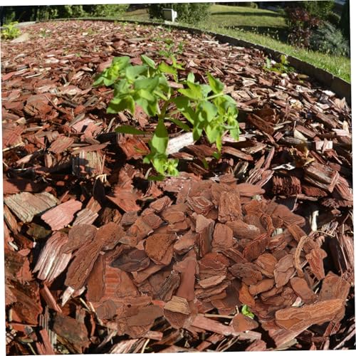 1bag Natural Reptile Bark Bedding Cork Bark Chips for Reptile Tank Decor Terrarium Substrate Lizard Bedding Chips Tree Decor for
