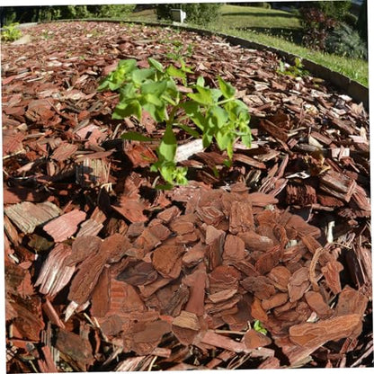 1bag Natural Reptile Bark Bedding Cork Bark Chips for Reptile Tank Decor Terrarium Substrate Lizard Bedding Chips Tree Decor for