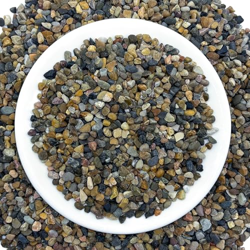 SIDONG 20LB Natural Aquarium Gravel, Small River Rocks for Fish Tank, Garden & Vase Decor - 1/16 Inch Pea Gravel, 2-4mm Polished Stones for Landscaping, Potted Plants, Terrarium - color: 20lb, size: 2-4mm