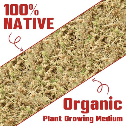 Halatool Premium New Zealand Sphagnum Moss, 500g (40L When Hydrated) | Long Fiber, Retain Moisture, Moss for Orchid Repotting, Succulents, Sarracenia, Potted Plants, Gardening & Reptiles - size: 40L