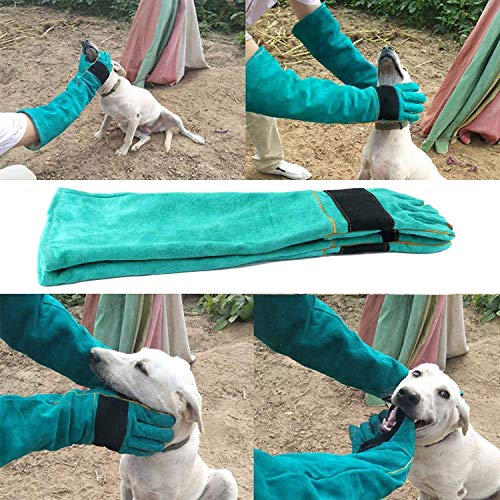 AOWPFVV Animal Handling Gloves Bite Proof for Dogs,Cats, 23.6in Large | Falconry,Birds,Snake,Reptile,Vets, Groomers & Animal Control - color: Light Green Size Large 23.6in