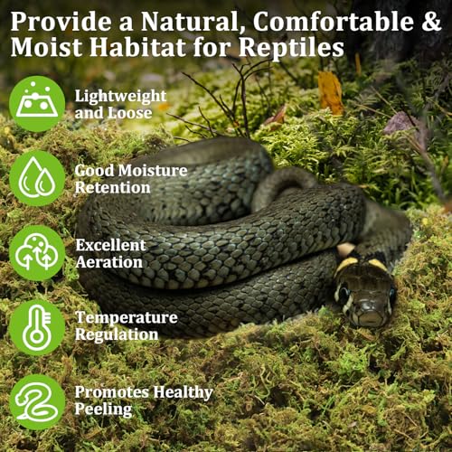 3.5OZ Natural Sphagnum Moss for Reptile Terrarium Substrate Bedding | 4QT High Expansion, Moisture Retention, Helps Shedding, Long Fibers Dried Moss for Leopard Gecko, Snake, Frog, Turtle - size: 3.5 OZ