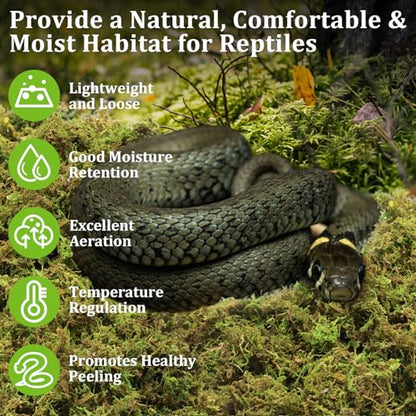 3.5OZ Natural Sphagnum Moss for Reptile Terrarium Substrate Bedding | 4QT High Expansion, Moisture Retention, Helps Shedding, Long Fibers Dried Moss for Leopard Gecko, Snake, Frog, Turtle - size: 3.5 OZ