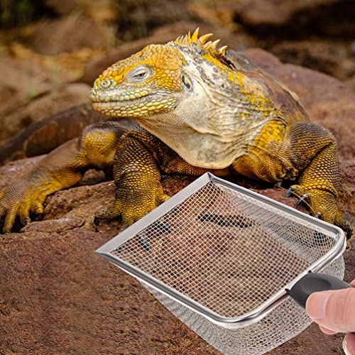 2pcs Reptile Litter Shovels for Easy Waste Cleanup Turtles Lizards Snakes and Frogs Durable Fine Mesh Scoop for Pet Terrariums