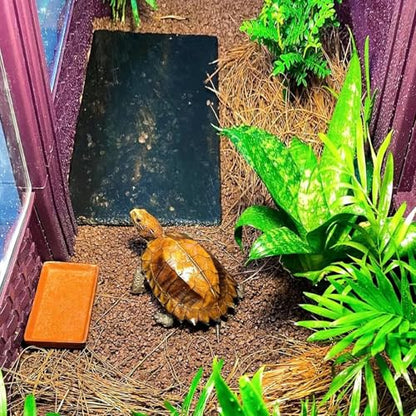 Reptile Basking Platform Tortoise Rock Plate 9.8’’x4.7’’ Feeding Food Bowl Slate Dish Turtle Bathing Resting Terrace for Lizard Bearded Dragon Chameleon Gecko Snake Frog Newt - size: 9.8x4.7inch-rectangle(1pcs)
