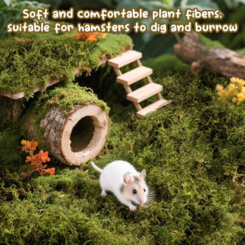 Sukh Hamster Moss - 5.6 Oz Forest Moss for Hamster Bedding Nesting Hideout Dried Moss Reptile Moss for Squirrels Hamsters Guinea Pigs Mices Small Animals Cage Accessories