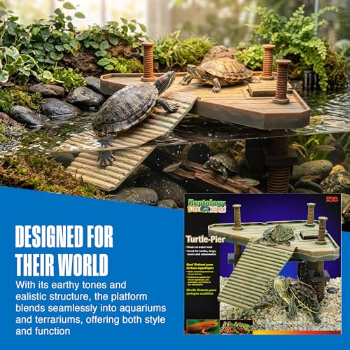 Penn-Plax Reptology Turtle Pier and Basking Platform, Medium - Adjust Height Up to 12 In - Floats at Water Level -Easy Ramp Access for Turtles, Frogs & Reptiles in Aquariums or Terrariums, 11.5x9.5 In - style: Turtle Pier - Medium