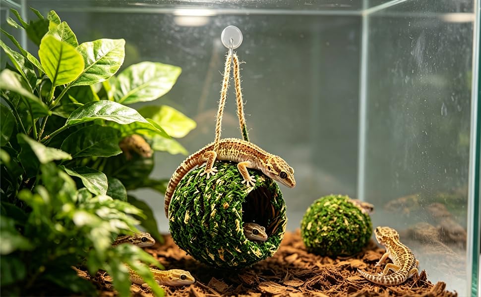 Mossy Caves Hideout, Crested Gecko Tank Accessories, Green Cave Hide Made with Natural Moss for Reptiles and Amphibians, Hide for Crested Gecko, Terrarium & Vivarium Decor