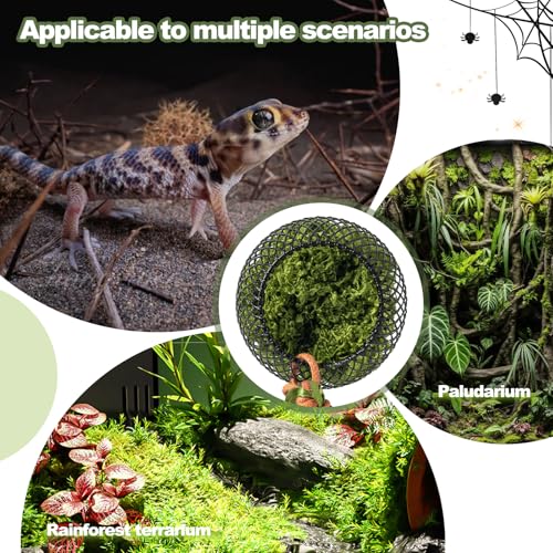8 Pcs Jumping Spider Hide Enclosure Habitat Decor Set | Magnetic Hiding Habitat Magnetic Hideout Cave for Jumping Spiders, Tarantulas, Reptile Hides and Caves Decorr - size: Style B