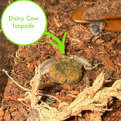 CTWPets Clean Up Crew Bites, Isopod Food & Springtail Food, 2.5 oz | Microfauna booster for millipedes and fruit fly cultures; supports clean up crews in bioactive terrariums and enclosures