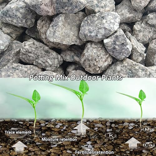 Succulent Cactus Soil Potting Mix:Indoor Bonsai Soil for Plants,Orchid Potting Mix,Aquarium Rocks for Fish Tank,Gardening DIY Gravel for Plants,Drainage and Breathable,1.1 lbs/0.5kg (1.1 lbs) - style: 1.1 lbs