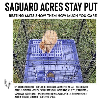 Saguaro Acres Rabbit and Small Animal Cage Resting Mat for Wire Floored Cages 2 Pack (Purple) - color: Purple