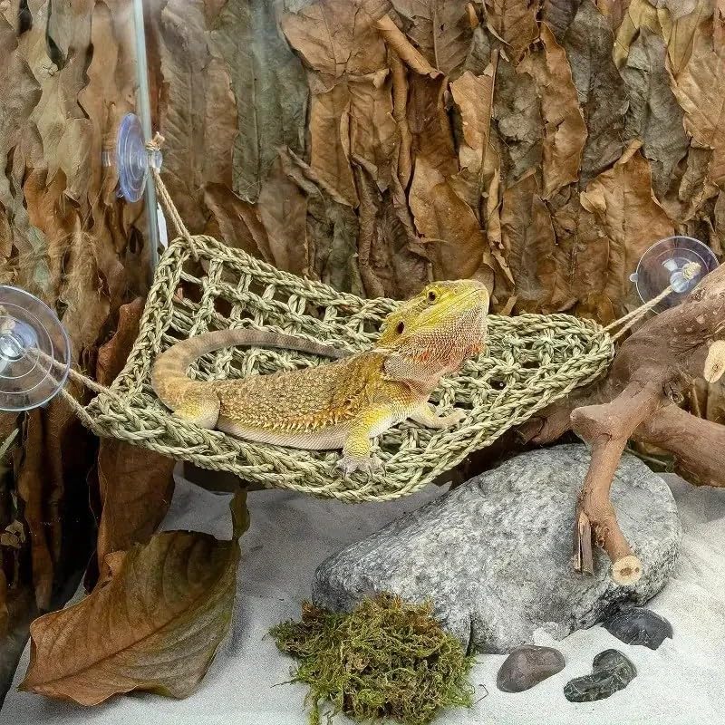 Adullpony Bearded Dragon Tank Accessories Set: Reptile Habitat Decor with Climbing Hammock Toys, Natural Wood Hideout for Hermit Crab, Lizard, Leopard Gecko,Crested,Tortoise, Snake