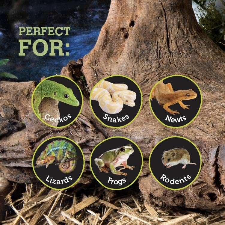 Galápagos (05370) Mossy Sapa Corner Hide - The Perfect Reptile Hide for Security and Comfort - A Natural and Secure Hide for Reptiles, Amphibians, and Invertebrates, L10” x W5.5” x H4.5”