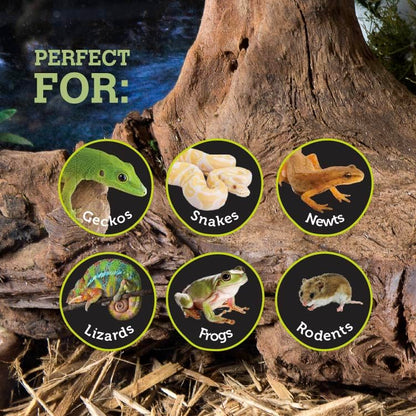 Galápagos (05370) Mossy Sapa Corner Hide - The Perfect Reptile Hide for Security and Comfort - A Natural and Secure Hide for Reptiles, Amphibians, and Invertebrates, L10” x W5.5” x H4.5”