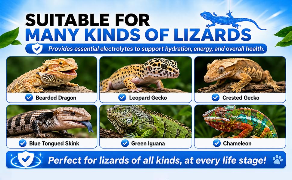 Lizard D3 Calcium Powder—Organically Extracted—Powder (2.82 oz)