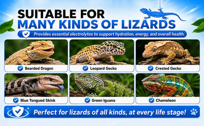 Lizard D3 Calcium Powder—Organically Extracted—Powder (2.82 oz)