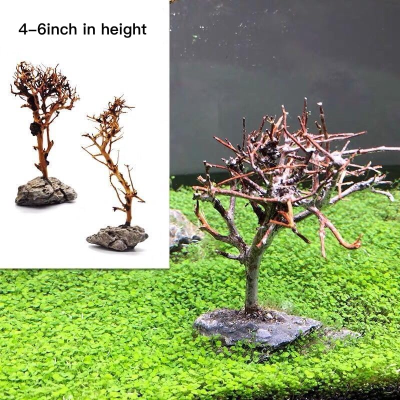YZHZOM 2pcs Small Bonsai Aquarium Tree,4-6inch,Handmade Aquarium Bonsai Tree Aquarium Decor Tree