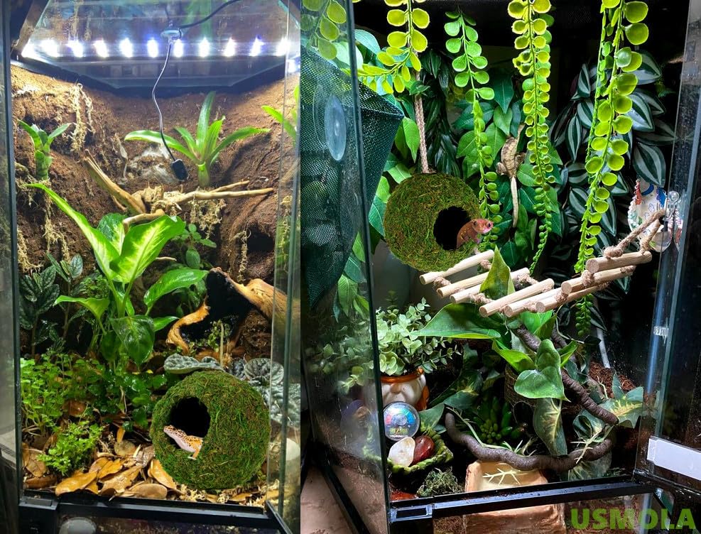 USMOLA Mossy Caves, Artificial Green Moss Caves Hide for Pet Reptile Frogs and Snakes, Terrarium & Vivarium Decor, Crested Gecko Tank Decor (6" - Woodland Green)