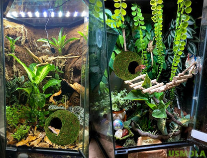 USMOLA Mossy Caves, Artificial Green Moss Caves Hide for Pet Reptile Frogs and Snakes, Terrarium & Vivarium Decor, Crested Gecko Tank Decor (6" - Woodland Green)