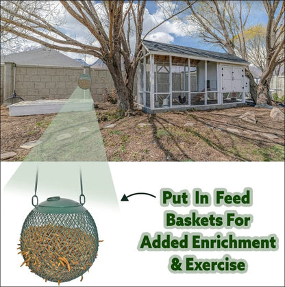 Exotic Nutrition 40 LB Bulk Dried Black Soldier Fly Larvae - High-Calcium Insect Treat - Chickens, Wild Birds, Bluebirds - size: 40 Pound (Pack of 1)