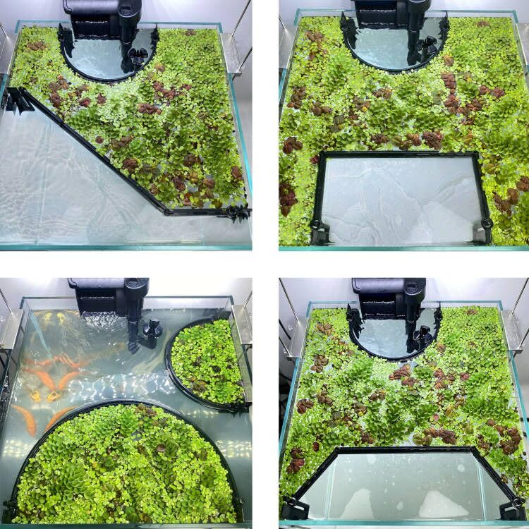 Floating Plant Corral for Aquarium, Fish Tank Accessories to Separate Floating Plants, Automatically Adjusts Height with Water Level, Suitable for All Floating Plants and All Aquariums (Style 3) - size: Style 3