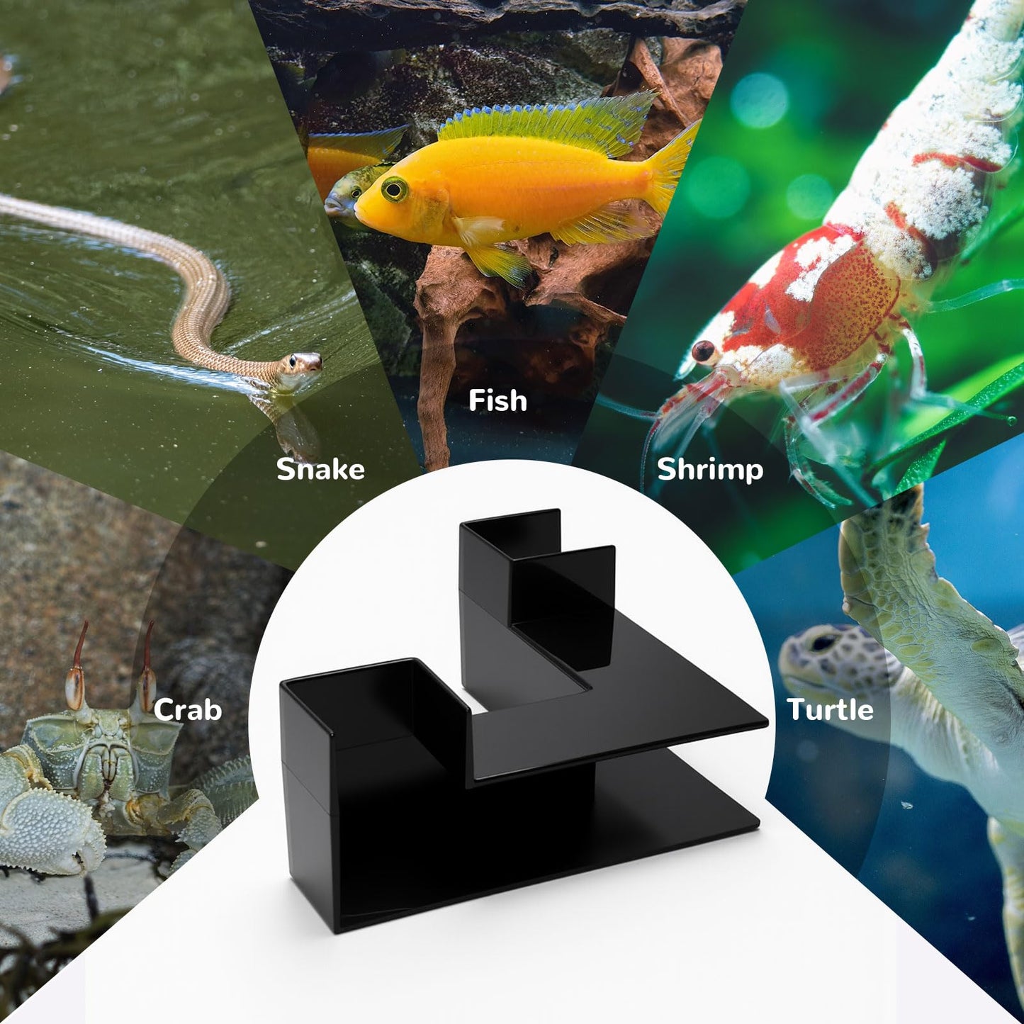 Aquarium Underground Tunnel 5", Dual-Entrance Fish Tank Cave | Aquarium Cave with Clear 360° Viewing, Shrimp Hideout, Substrate Buried Decor for Betta, Corydoras, Loaches, Black