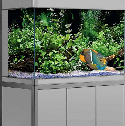 Aquatic Plant Aquarium Background, River Bed & Lake Tropical Undersea Tree BranchFish Tank Background, 6 EVA Double-Sided Tapes 48x24 inches/120x60 - color: Green, size: 48"L x 24"W